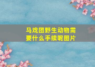 马戏团野生动物需要什么手续呢图片