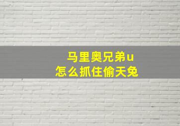 马里奥兄弟u怎么抓住偷天兔