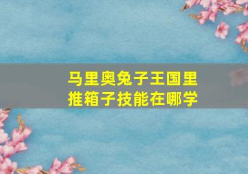 马里奥兔子王国里推箱子技能在哪学