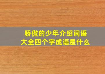 骄傲的少年介绍词语大全四个字成语是什么