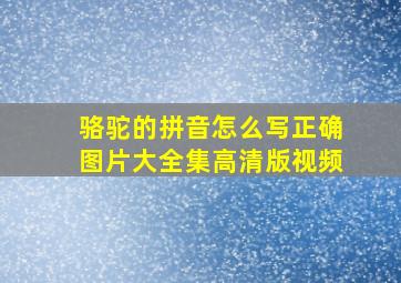 骆驼的拼音怎么写正确图片大全集高清版视频