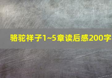 骆驼祥子1~5章读后感200字