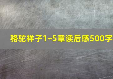 骆驼祥子1~5章读后感500字