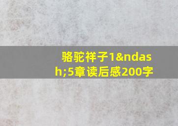 骆驼祥子1–5章读后感200字