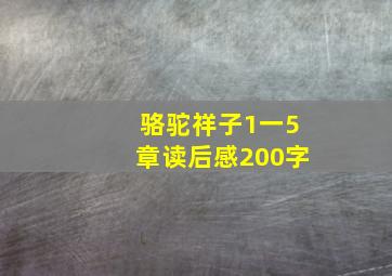 骆驼祥子1一5章读后感200字