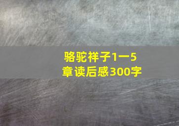 骆驼祥子1一5章读后感300字