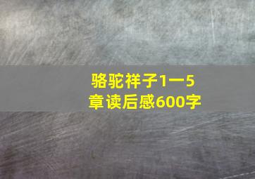 骆驼祥子1一5章读后感600字