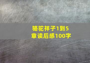 骆驼祥子1到5章读后感100字