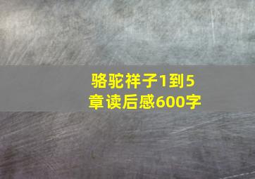 骆驼祥子1到5章读后感600字