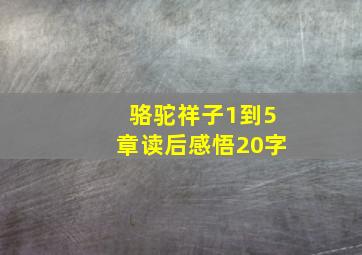 骆驼祥子1到5章读后感悟20字