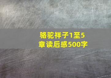 骆驼祥子1至5章读后感500字