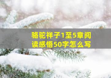 骆驼祥子1至5章阅读感悟50字怎么写