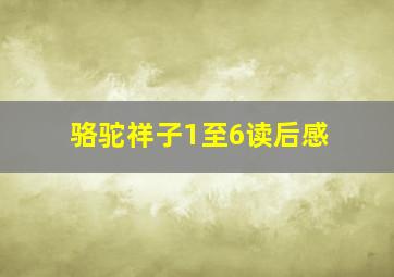 骆驼祥子1至6读后感