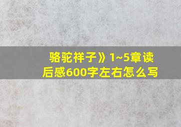 骆驼祥子》1~5章读后感600字左右怎么写