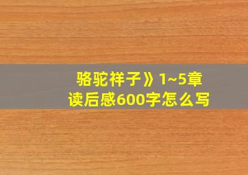 骆驼祥子》1~5章读后感600字怎么写