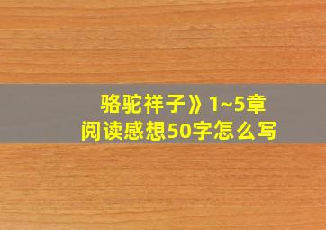 骆驼祥子》1~5章阅读感想50字怎么写