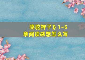 骆驼祥子》1~5章阅读感想怎么写