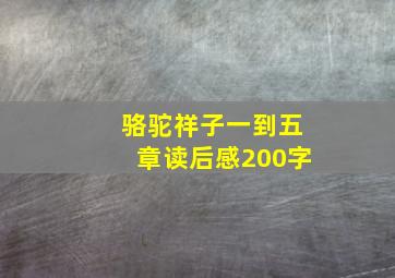 骆驼祥子一到五章读后感200字