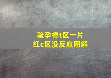 验孕棒t区一片红c区没反应图解