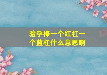 验孕棒一个红杠一个蓝杠什么意思啊