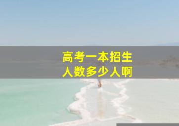 高考一本招生人数多少人啊