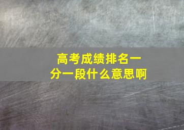 高考成绩排名一分一段什么意思啊