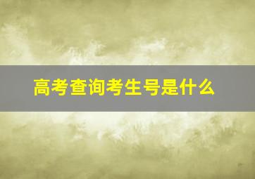 高考查询考生号是什么