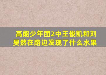 高能少年团2中王俊凯和刘昊然在路边发现了什么水果