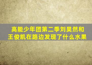 高能少年团第二季刘昊然和王俊凯在路边发现了什么水果