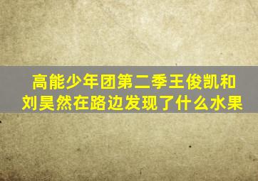 高能少年团第二季王俊凯和刘昊然在路边发现了什么水果