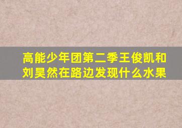 高能少年团第二季王俊凯和刘昊然在路边发现什么水果