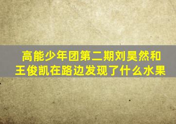 高能少年团第二期刘昊然和王俊凯在路边发现了什么水果