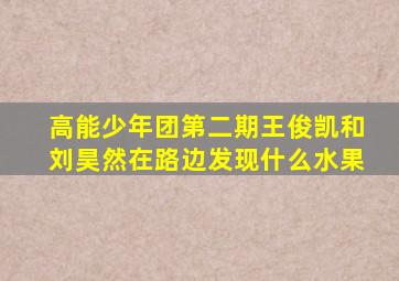 高能少年团第二期王俊凯和刘昊然在路边发现什么水果