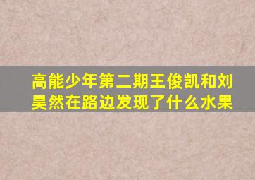 高能少年第二期王俊凯和刘昊然在路边发现了什么水果