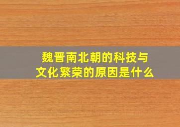 魏晋南北朝的科技与文化繁荣的原因是什么