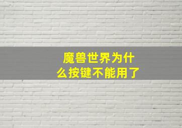 魔兽世界为什么按键不能用了