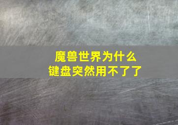 魔兽世界为什么键盘突然用不了了