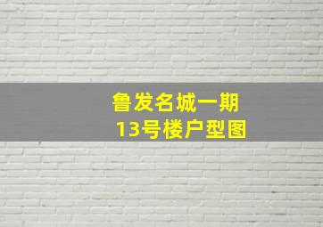 鲁发名城一期13号楼户型图