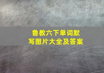 鲁教六下单词默写图片大全及答案