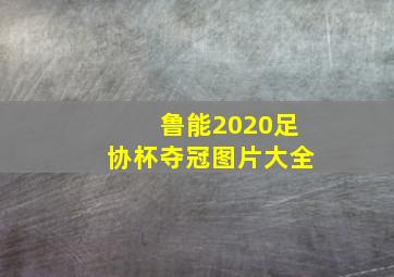 鲁能2020足协杯夺冠图片大全