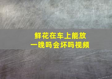 鲜花在车上能放一晚吗会坏吗视频