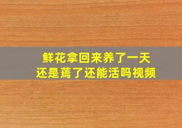 鲜花拿回来养了一天还是蔫了还能活吗视频