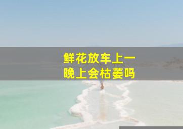 鲜花放车上一晚上会枯萎吗