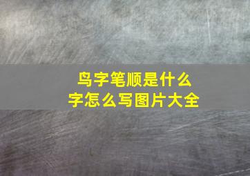 鸟字笔顺是什么字怎么写图片大全