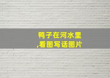 鸭子在河水里,看图写话图片