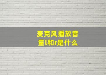 麦克风播放音量l和r是什么