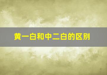 黄一白和中二白的区别