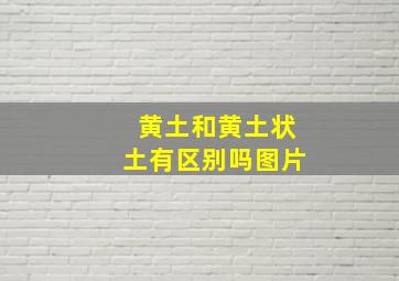 黄土和黄土状土有区别吗图片