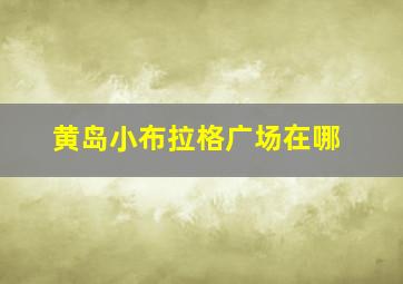 黄岛小布拉格广场在哪