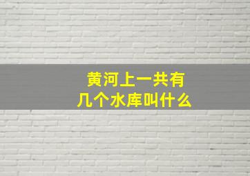 黄河上一共有几个水库叫什么